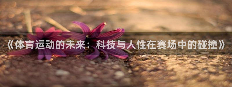 77体育app下载官网