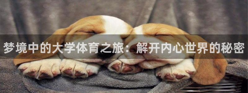 皇冠277体育