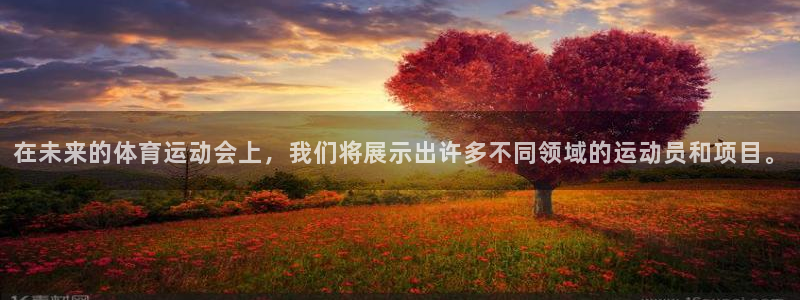77体育