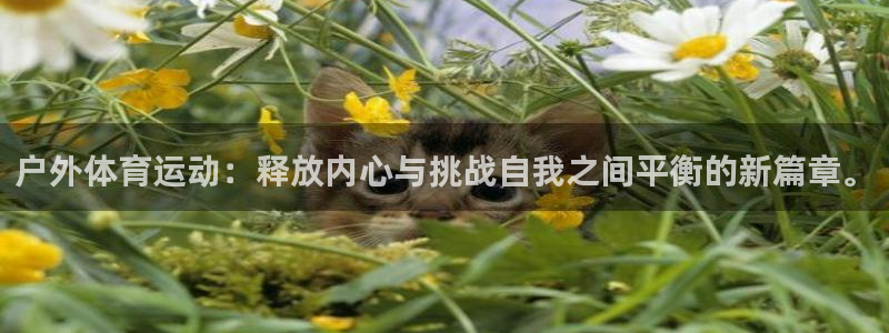 77体育app下载官网