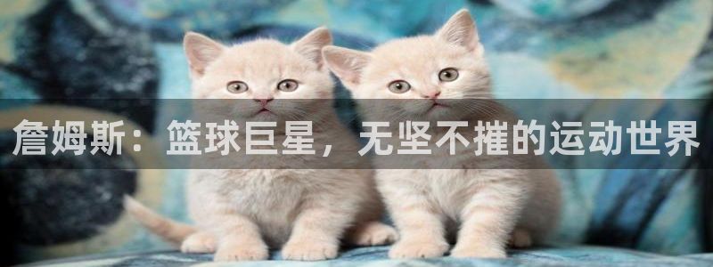 皇冠277体育