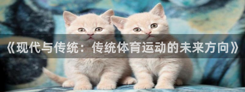 77体育app下载官网
