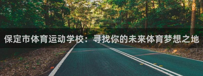 77体育官网