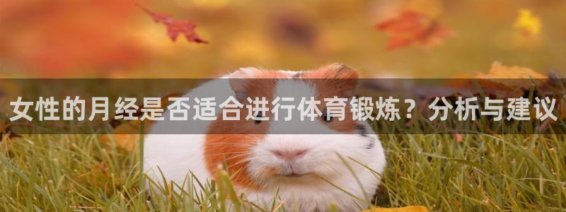 77体育app下载官网
