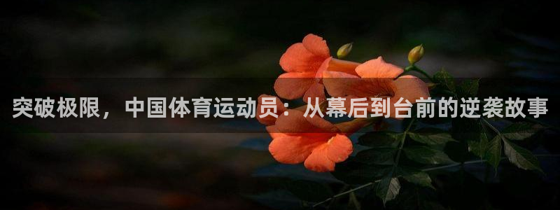 77体育