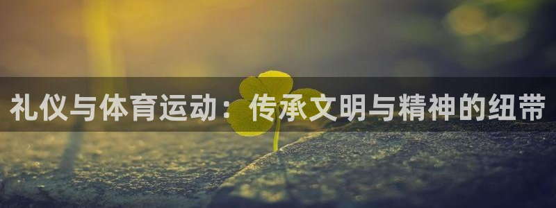 77体育app下载官网