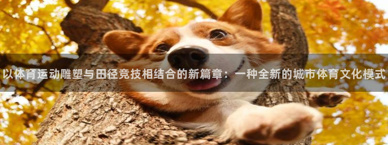 77体育app下载官网