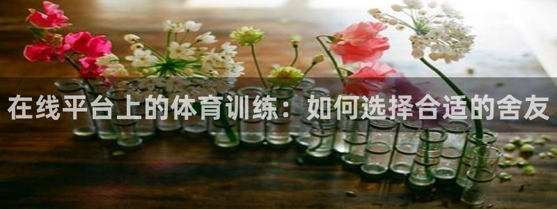 77体育官网