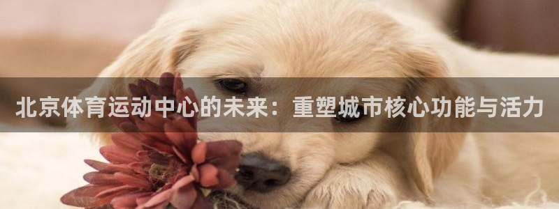 皇冠277体育