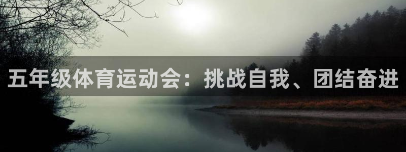 77体育app下载官网