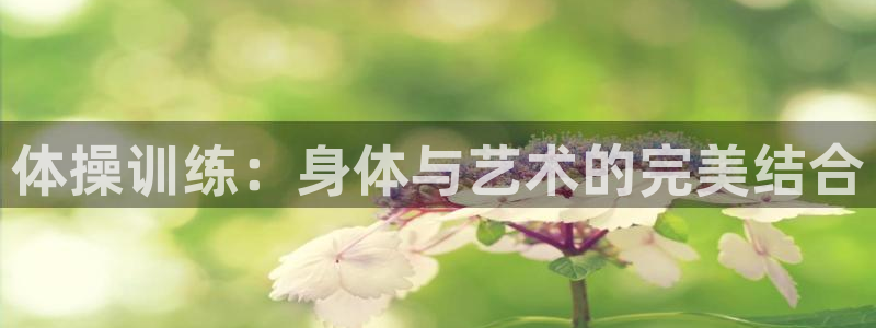77体育官网
